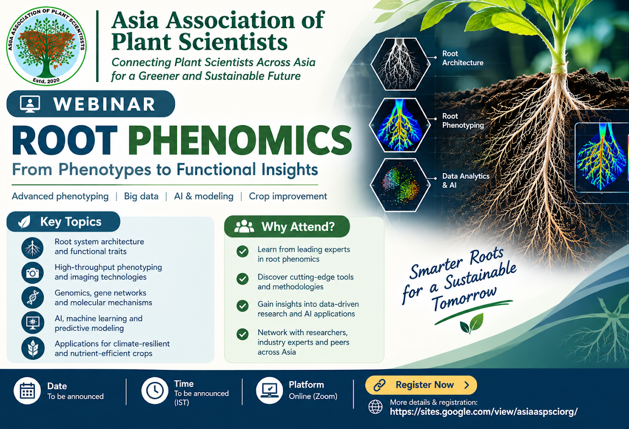 Webinar in November 2026